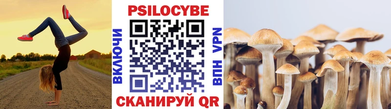 Псилоцибиновые грибы мицелий  Купить закладки  Белогорск 