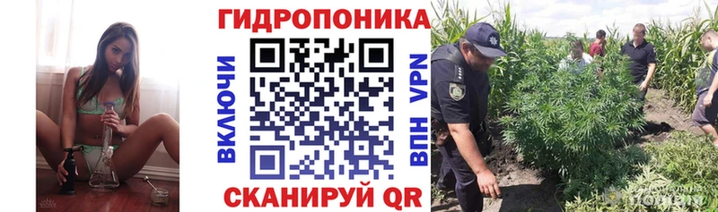 Купить закладки  Белогорск  Марихуана сатива 